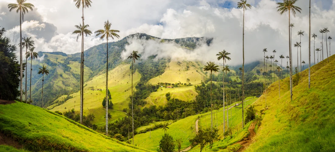 viaje a Colombia con Atlantis Travel (1)