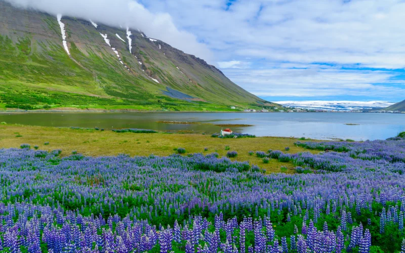 viaje a islandia (1)