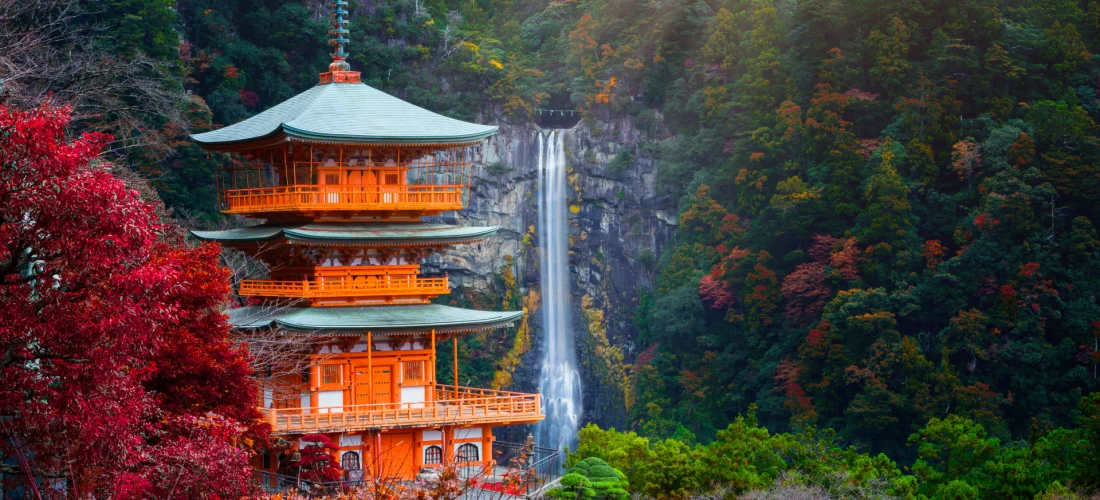 viaje a medida japón (1)