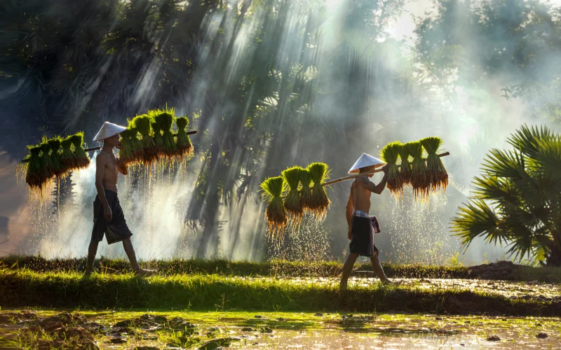 vietnam